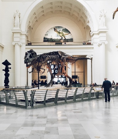 The Field Museum of Natural History